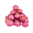 البصل