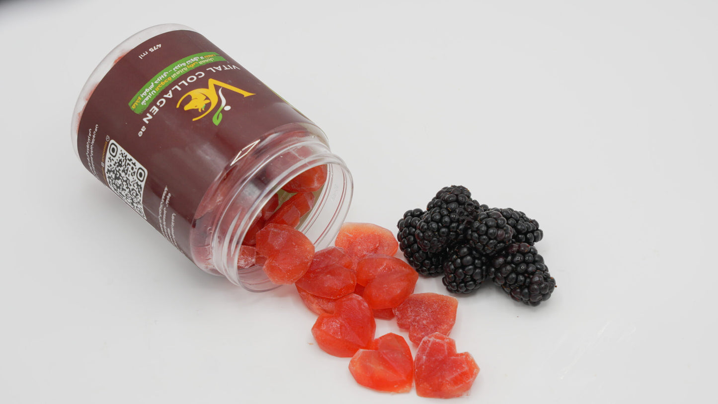 Vital Collagen – Berry + Beetroot (500 ml)
