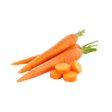 الجزر