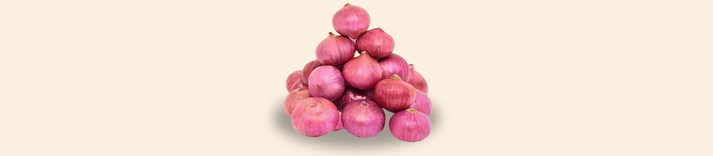 البصل