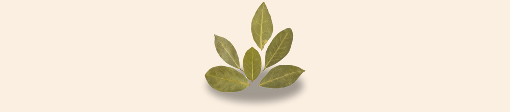 ورق الغار